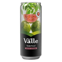 imagem de Del Vale Goiaba 290ml